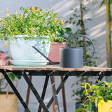 regadera pour plante interieur