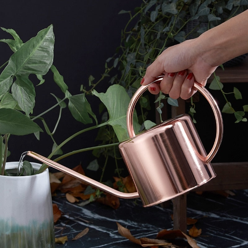 regadera Design Intérieur style japonais