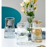 vases plantas d'intérieur