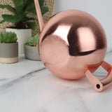 regadera Inox 1 Litre