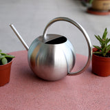 regadera en acier inoxydable