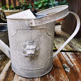 vieille regadera en zinc