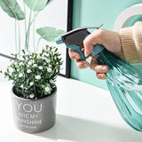 spray para plantas de interior