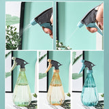 señor de las plantas de interior