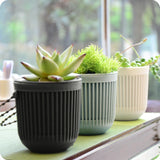 pot riego automatique