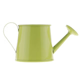 petit regadera décoratif table