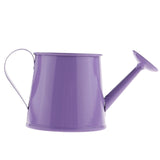 petit regadera bureau